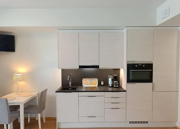 Uusi, Moderni Yksio Joensuun Keskustassa *